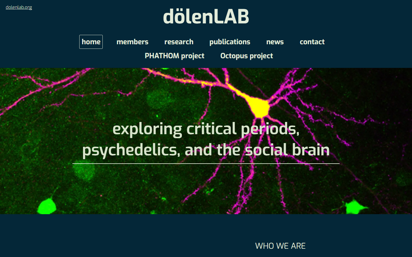Dolen Lab official website screenshot