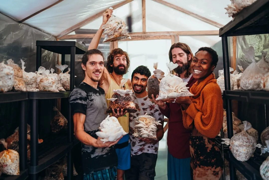 Fungi Academy video set