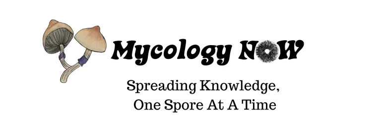 Official Mycology Now website logo