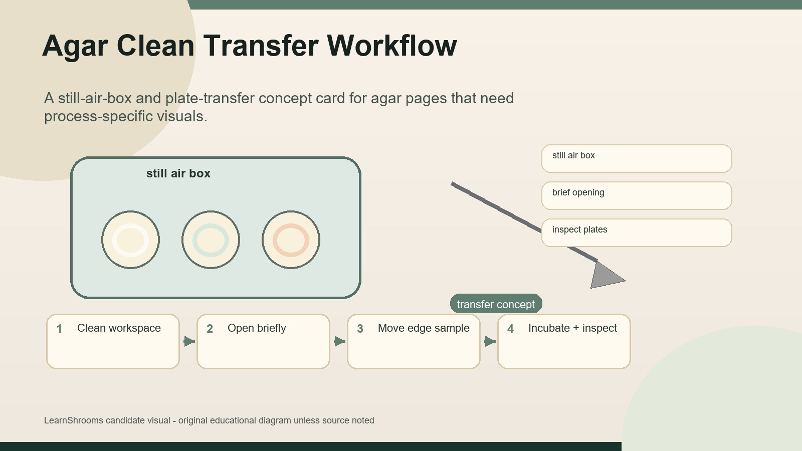 Illustrated agar workflow showing a still air box, petri dishes, scalpel transfer concept, and clean-work checkpoints.