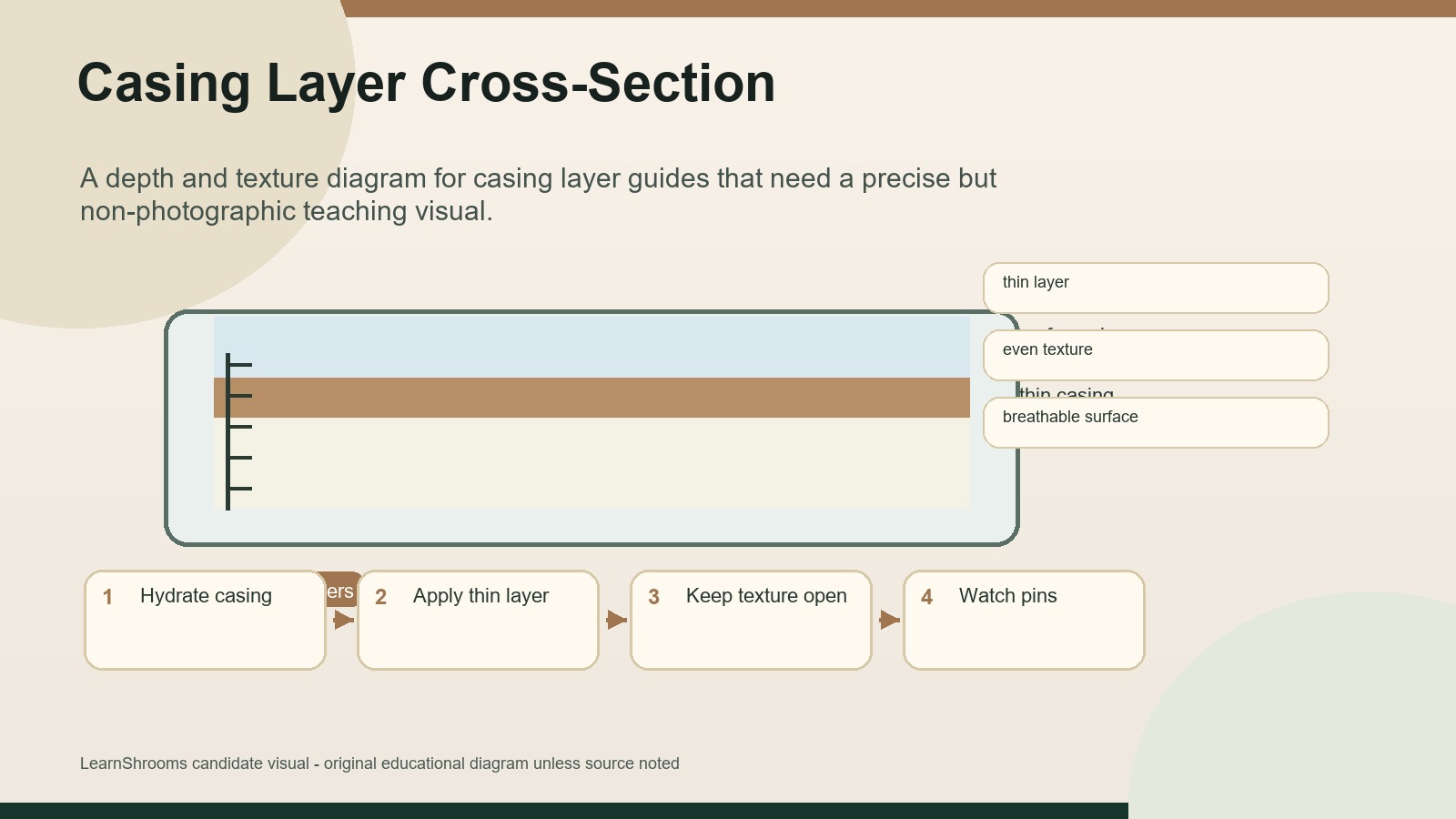 Casing layer cross-section showing colonized bulk, a thin casing layer, surface air, and a ruler reference.