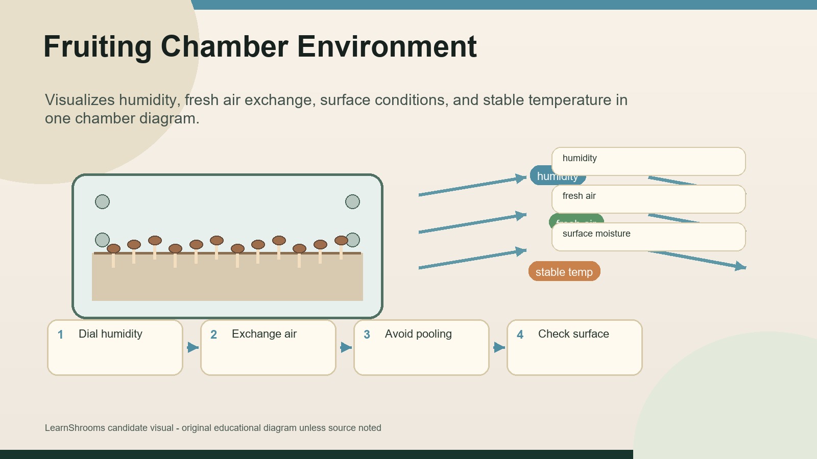 Fruiting chamber environment map showing humidity, fresh air, stable temperature, and surface checks around a tub.