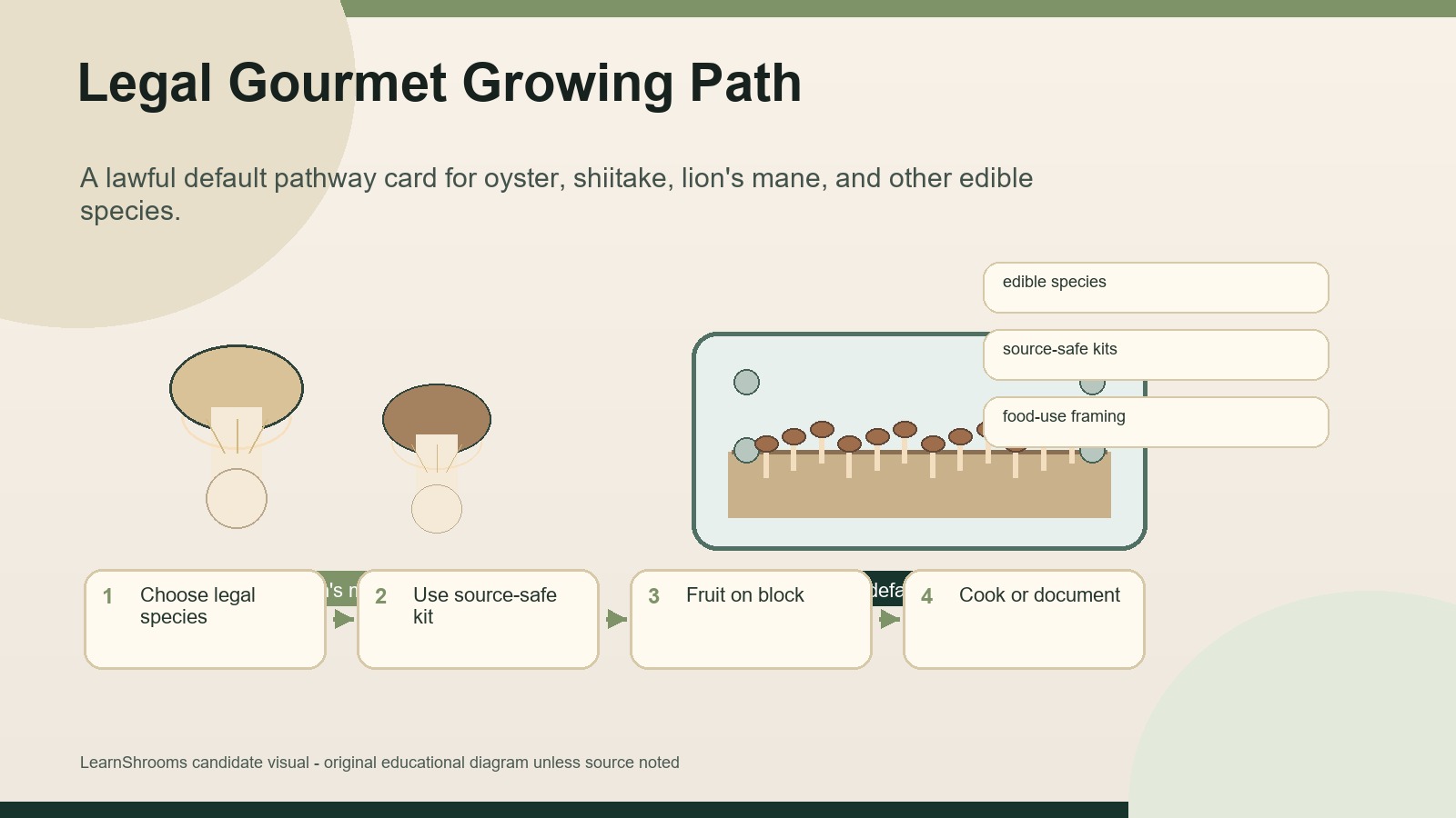 Illustrated legal gourmet growing path with edible mushrooms, a fruiting block, and legal-species checkpoints.