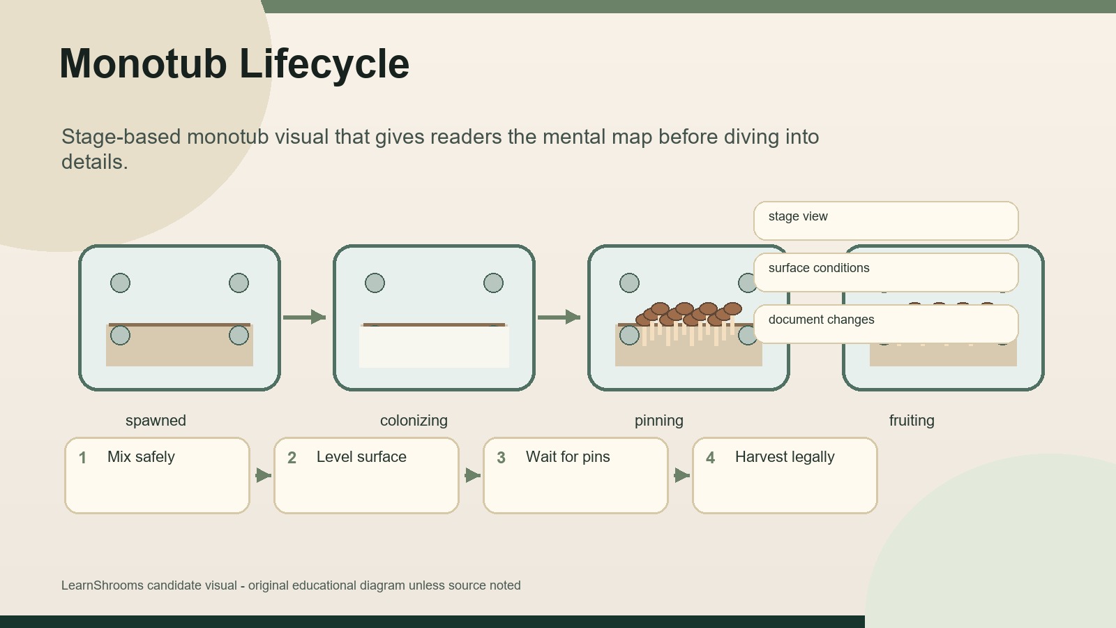 Monotub lifecycle diagram with stages labeled spawned, colonizing, pinning, and fruiting.
