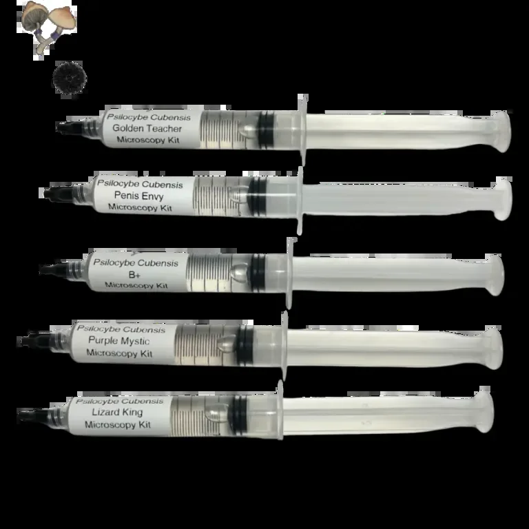 Official MycologyNow source image: spores.