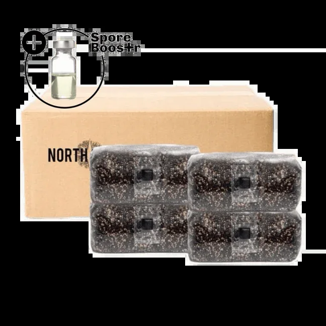 Official North Spore source image: 4-pack 'ShroomTek' + Spore Boostr All-in-One Mushroom Grow Bag.