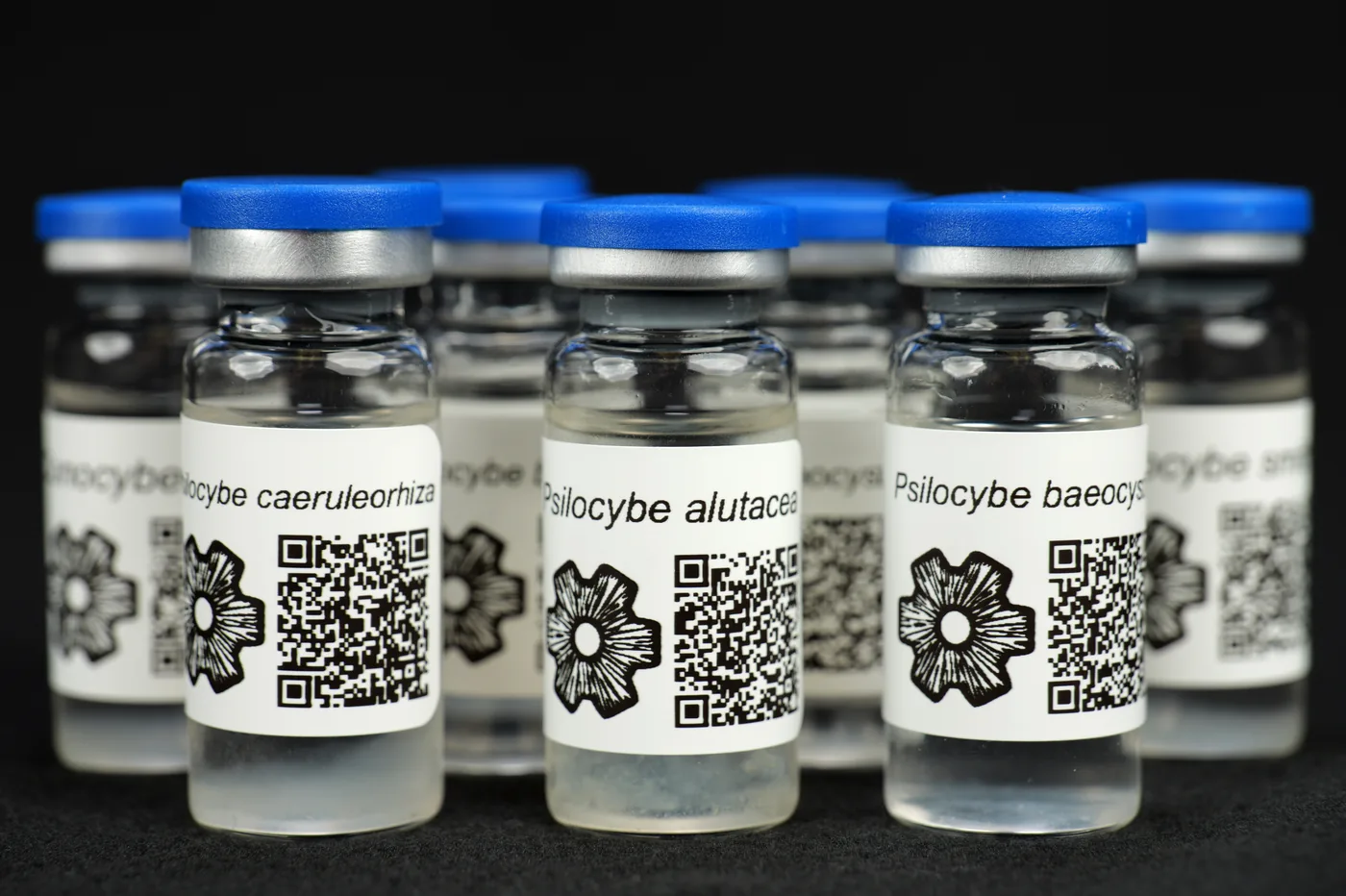 SporeWorks public MycoTrue source/product image.