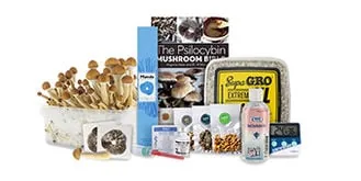 Zamnesia public shroomshop/category visual.