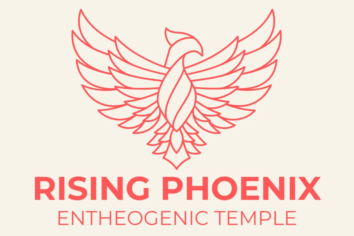 Rising Phoenix Entheogenic Temple — Haight Street source-backed public image