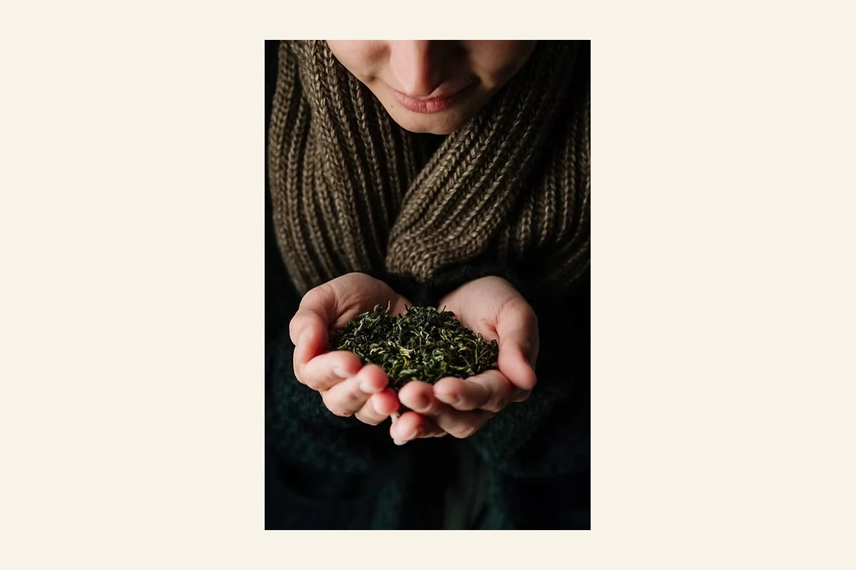 Forest Floor DC official-site image used for source-backed research context