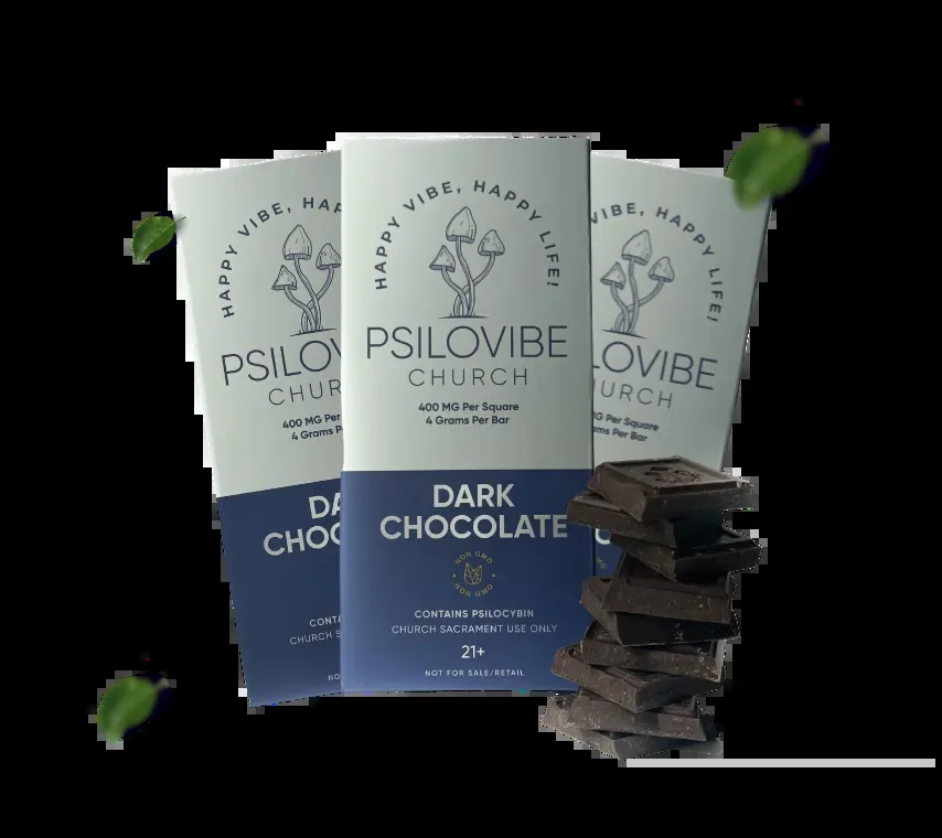 Psilovibe Church official-site source image 2