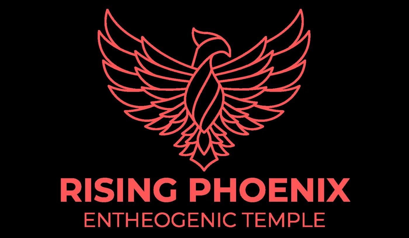 Rising Phoenix Entheogenic Temple — Haight Street official-site source image 2